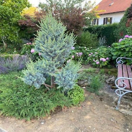 Apartma Jozica In Toncek Sveti Jurij ob Scavnici 外观 照片