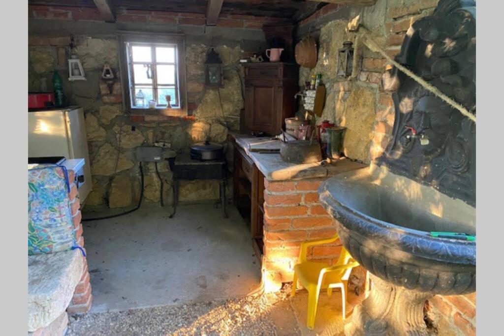 Apartma Jozica In Toncek Sveti Jurij ob Scavnici 外观 照片