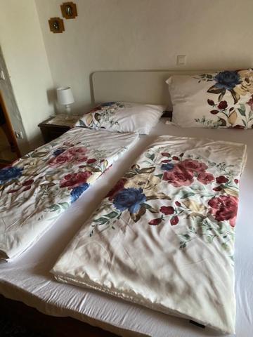 Apartma Jozica In Toncek Sveti Jurij ob Scavnici 外观 照片